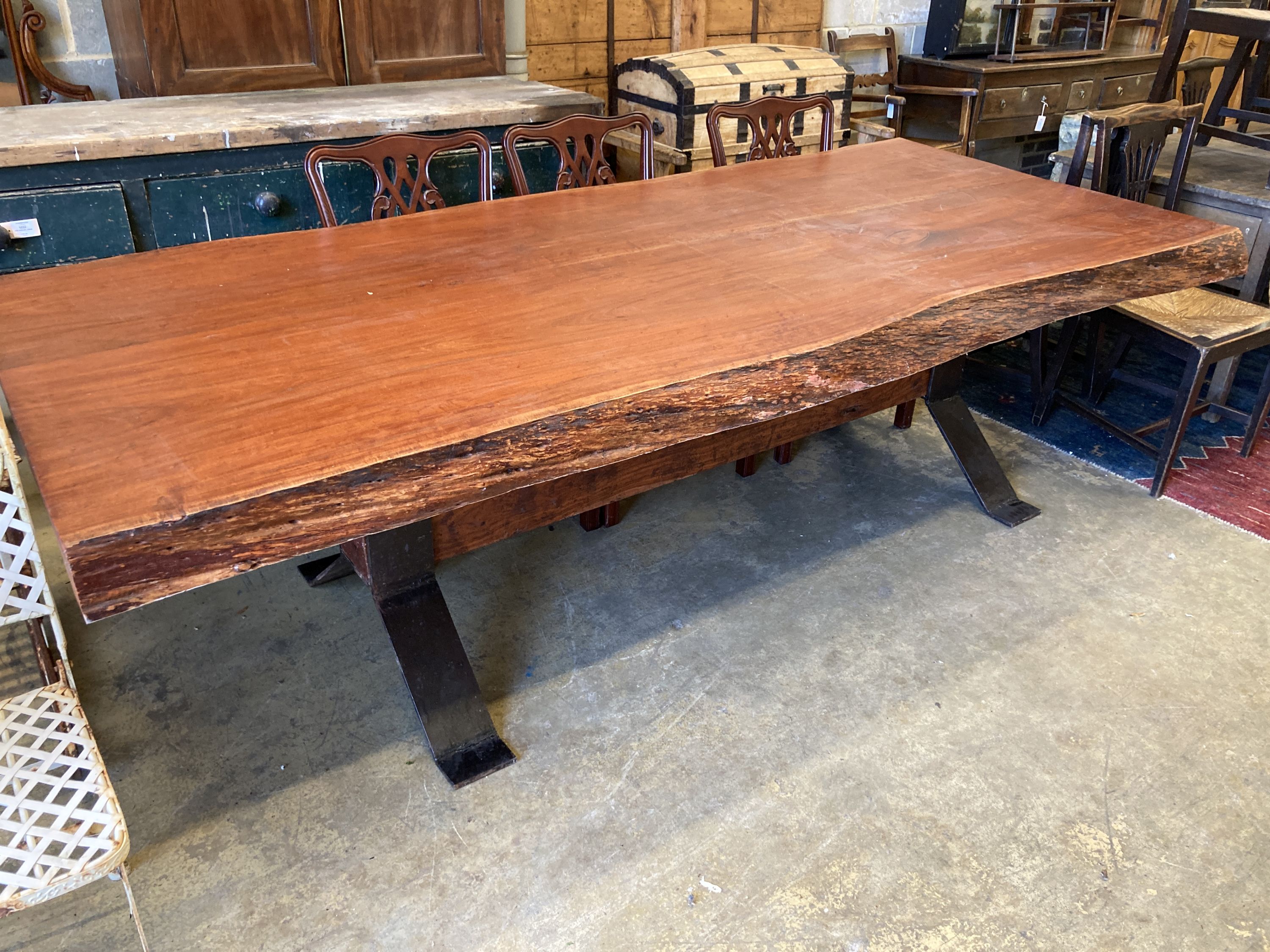 A South African Camelthorn hardwood dining table with a metal x-frame base, length 256cm, width 116cm, height 78cm